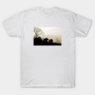 Asian Elephants Trekking In The Jungle Photograph T-Shirt